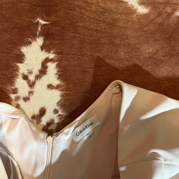 Calvin Klein Capelet Sheath Blossom Light Pink Scoop Neck Dress 
Size 10 - Picture 5 of 6